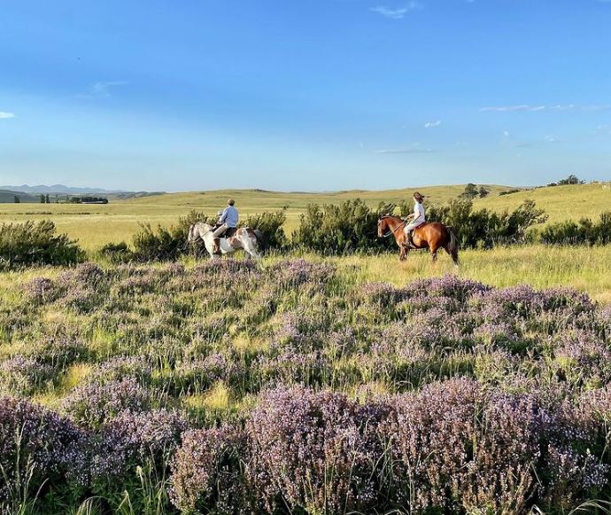 ESTANCIA EL PANTANOSO