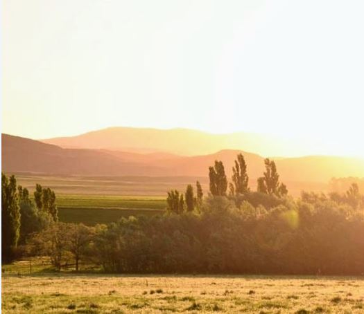 ESTANCIA EL PANTANOSO